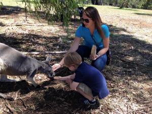 The kangaroos were generally friendly.