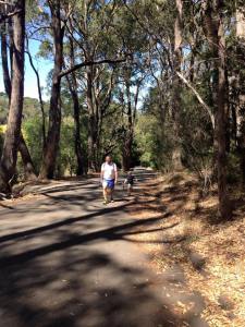 Nature hike before we made it to the park.