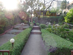 SAMSUNG CAMERA PICTURES