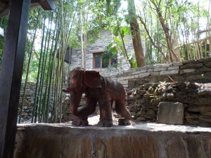 SAMSUNG CAMERA PICTURES