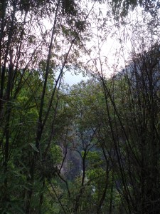 Morning of the hike. So clear and beautiful.