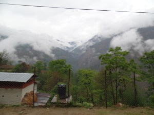 View from the school