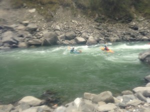 The kayakers were fearless.