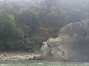 This is the rock we jumped from! Eeek!